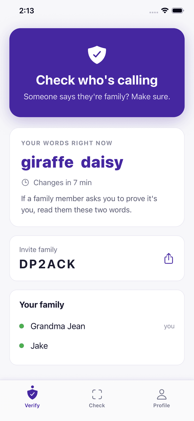 The Vishion Verify screen showing the two words shared by a family group and a countdown to when they change